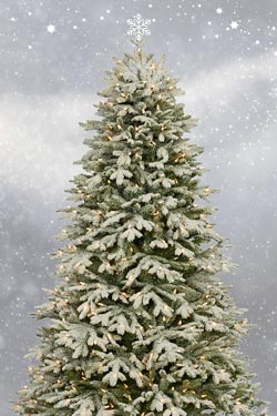 Ramsey Christmas Trees